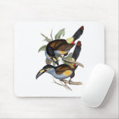 Platte-berechneter Berg Toucan Mousepad (Mit Mouse)