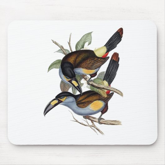 Platte-berechneter Berg Toucan Mousepad (Vorne)