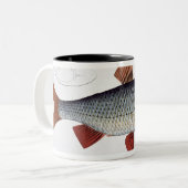 Platte II der Hinterwelle (Cyprinus Rutilis) von Zweifarbige Tasse (Vorderseite Links)