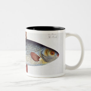 Platte II der Hinterwelle (Cyprinus Rutilis) von Zweifarbige Tasse