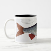 Platte II der Hinterwelle (Cyprinus Rutilis) von Zweifarbige Tasse (Links)