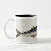 Platte LIV der Makrele (ScomberScomber) von Zweifarbige Tasse (Links)