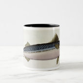 Platte LIV der Makrele (ScomberScomber) von Zweifarbige Tasse (Mittel)