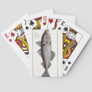Platte LXII der Schellfische (Gadus Aeglefinus) Spielkarten