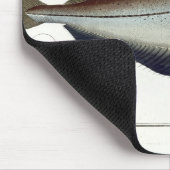 Platte LXVIII der Pollacks (Pollachius Pollachius) Mousepad (Ecke)