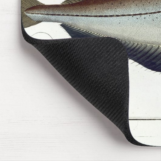 Platte LXVIII der Pollacks (Pollachius Pollachius) Mousepad (Ecke)