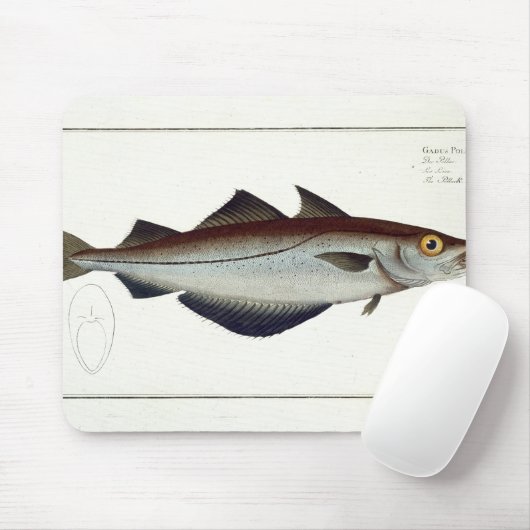 Platte LXVIII der Pollacks (Pollachius Pollachius) Mousepad (Mit Mouse)
