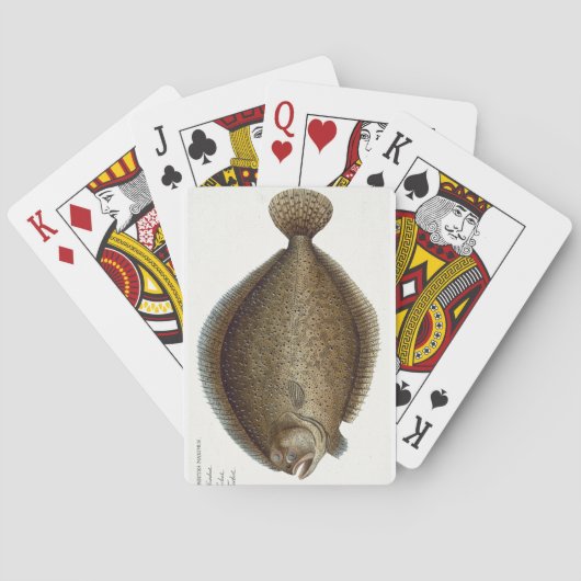 Platte XLIX des Steinbutts (Pleuronectes Maximus) Spielkarten (Rückseite)