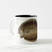 Platte XLIX des Steinbutts (Pleuronectes Maximus) Zweifarbige Tasse (Vorderseite Links)