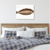 Platte XLV von "Ichthyol" (Solea Solaea) Leinwanddruck (Insitu (Schlafzimmer))