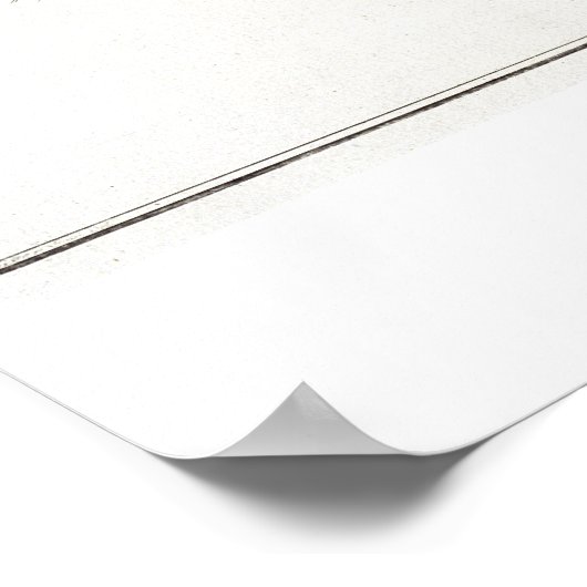 Platte XLV von "Ichthyol" (Solea Solaea) Poster (Ecke)