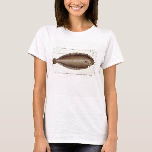 Platte XLV von "Ichthyol" (Solea Solaea) T-Shirt (Vorderseite)