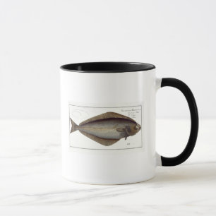 Platte XLVII Franc des Heilbutts Tasse