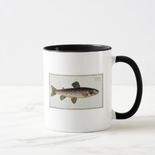 Platte XXIII der Bachforelle (Salmo Iasustris) von Tasse