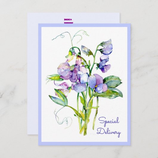 Platterbsen auf jeder Karte (Vorne/Hinten)