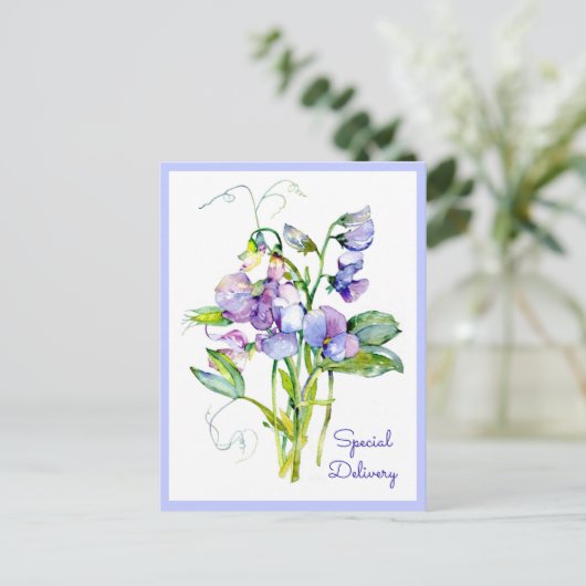 Platterbsen auf jeder Karte (Stehend Vorderseite)