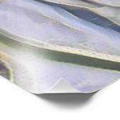 PLATTERBSEN FOTODRUCK (Ecke)