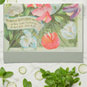 Platterbsen: Katalogillustration des Samens 1906 Handtuch (Gefaltet)