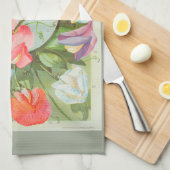 Platterbsen: Katalogillustration des Samens 1906 Handtuch (Viertel Falte)