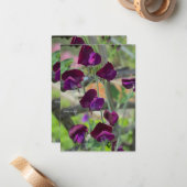 Platterbsen Mitteilungskarte (Vorderseite/Rückseite Beispiel)