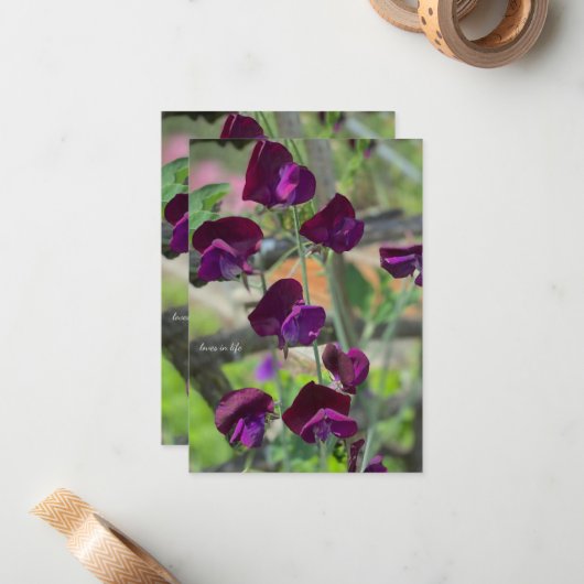 Platterbsen Mitteilungskarte (Vorderseite/Rückseite Beispiel)