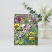 PLATTERBSEN POSTKARTE (Stehend Vorderseite)