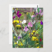 PLATTERBSEN POSTKARTE (Vorne/Hinten)