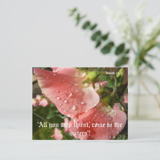 Platterbsen Postkarte (Stehend Vorderseite)