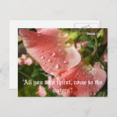 Platterbsen Postkarte (Vorne/Hinten)