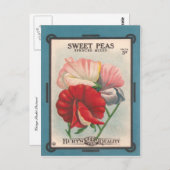 Platterbsen Postkarte (Vorne/Hinten)