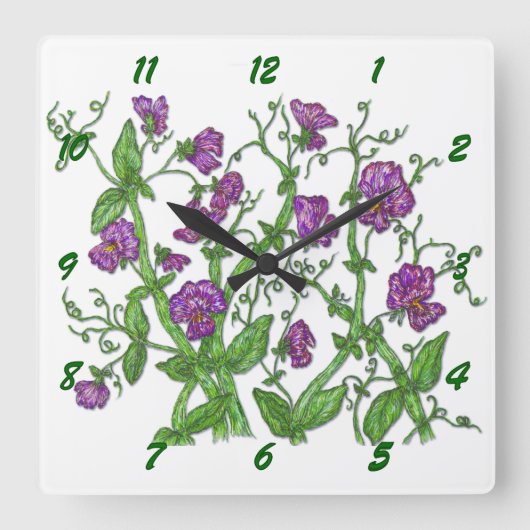 Platterbsen Quadratische Wanduhr (Vorderseite)