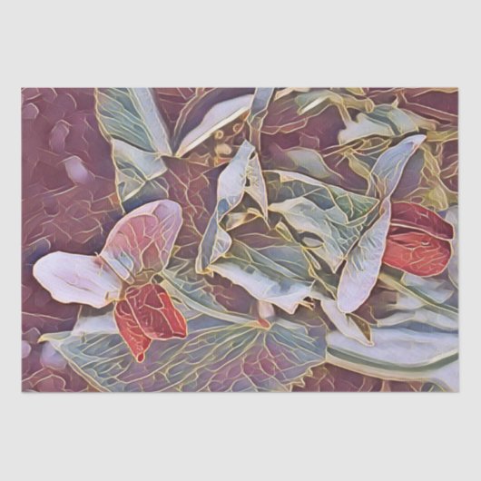 PLATTERBSEN SEIDENPAPIER (Vorderseite)