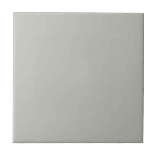 Plättete Silver Square Küche und Badezimmer Fliese (Vorderseite)