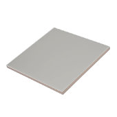 Plättete Silver Square Küche und Badezimmer Fliese (Seite)