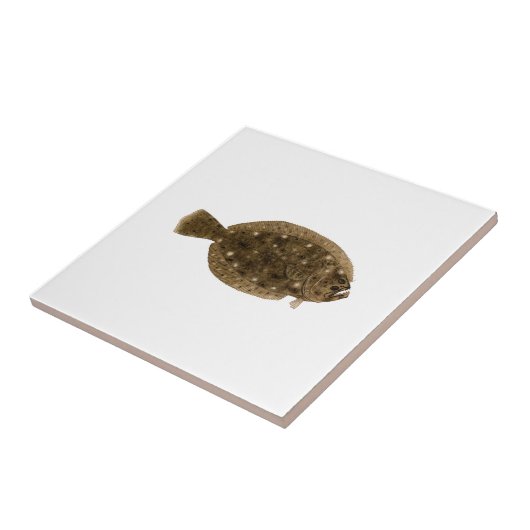 Plattfisch - Sommer-Scholle Fliese (Seite)