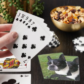 Plattform der Spielkarten, mit Boston-Terrier Spielkarten (In Situ)