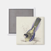 Platycercus Brownii oder Brown's Parrakeet (Plate  Magnet (Vorderseite/Rückseite)