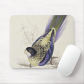 Platycercus Brownii oder Browns Parrakeet (Platte Mousepad (Mit Mouse)
