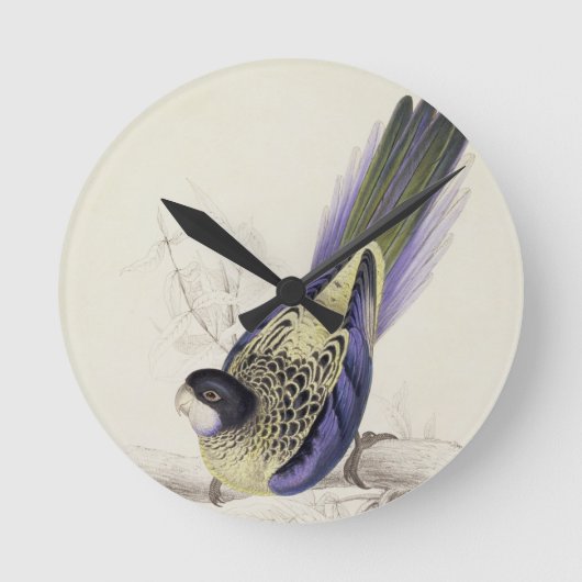 Platycercus Brownii oder Browns Parrakeet (Platte Runde Wanduhr (Vorderseite)