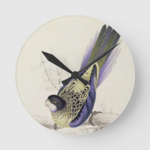 Platycercus Brownii oder Browns Parrakeet (Platte Runde Wanduhr