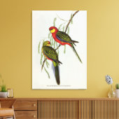 Platycercus Icterotis Leinwanddruck (Insitu (Wohnzimmer))