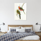 Platycercus Icterotis Leinwanddruck (Insitu (Schlafzimmer))
