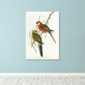 Platycercus Icterotis Leinwanddruck (Insitu (Holzboden))