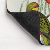 Platycercus Icterotis Mousepad (Ecke)