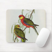 Platycercus Icterotis Mousepad (Mit Mouse)