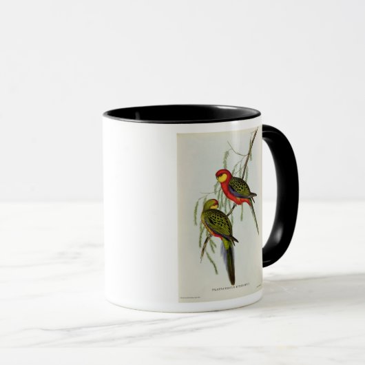 Platycercus Icterotis Tasse (VorderseiteRechts)
