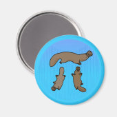 "Platypi" Drei Platypus griechisches Pi Magnet (Vorderseite/Rückseite)