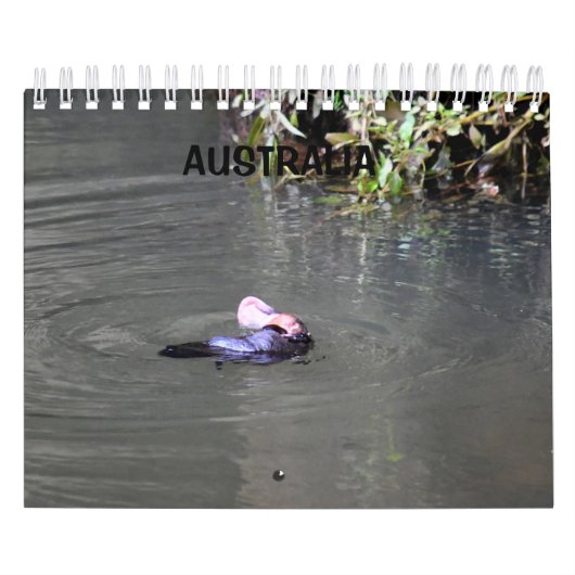 PLATYPUS AUSTRALIA KALENDER (Titelbild)