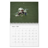 PLATYPUS AUSTRALIA KALENDER (Mär 2027)