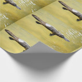 PLATYPUS AUSTRALIA WRAPPING PAPIER GESCHENKPAPIER (Ecke)
